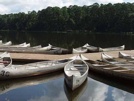 Canoes in a Pond