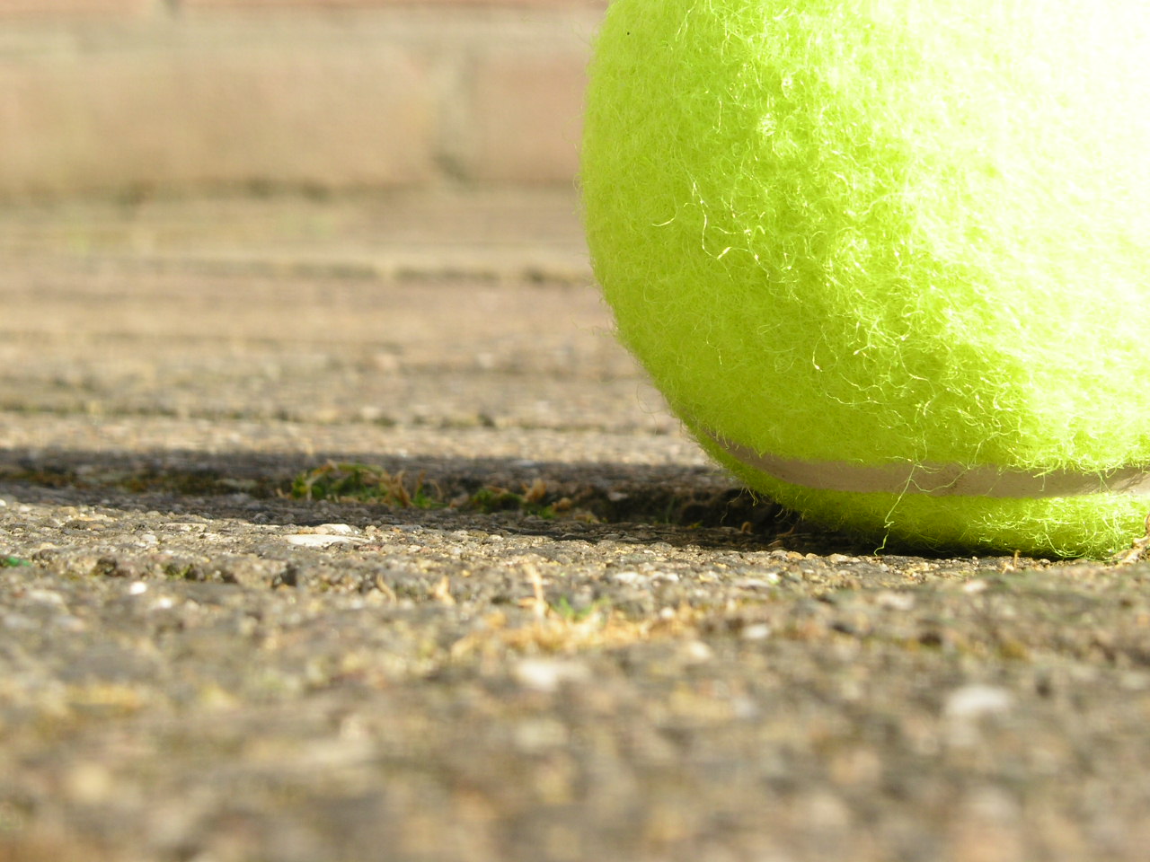 Tennis Ball